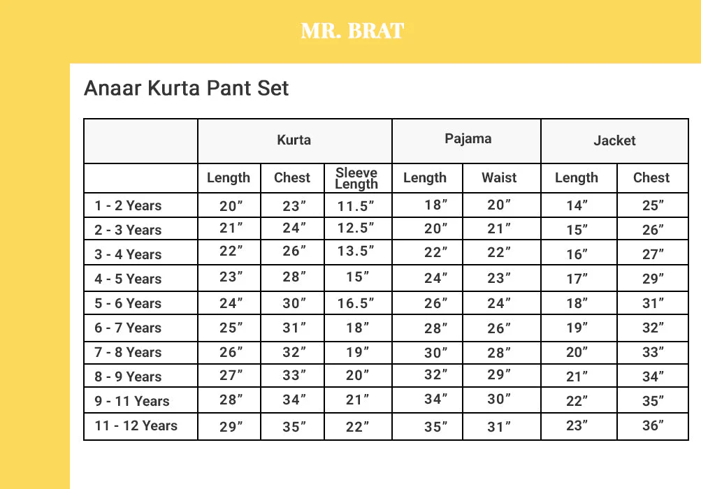 Anaar Kurta Pant Set - Image 3