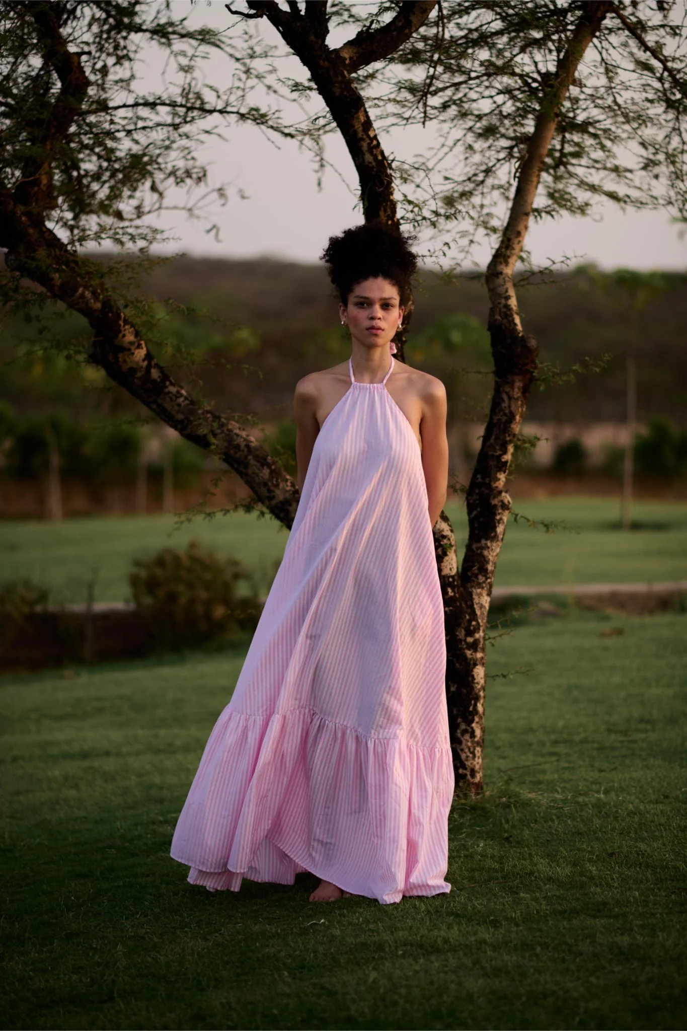 Birds of Paradise Dress - Pink Madras Stripes