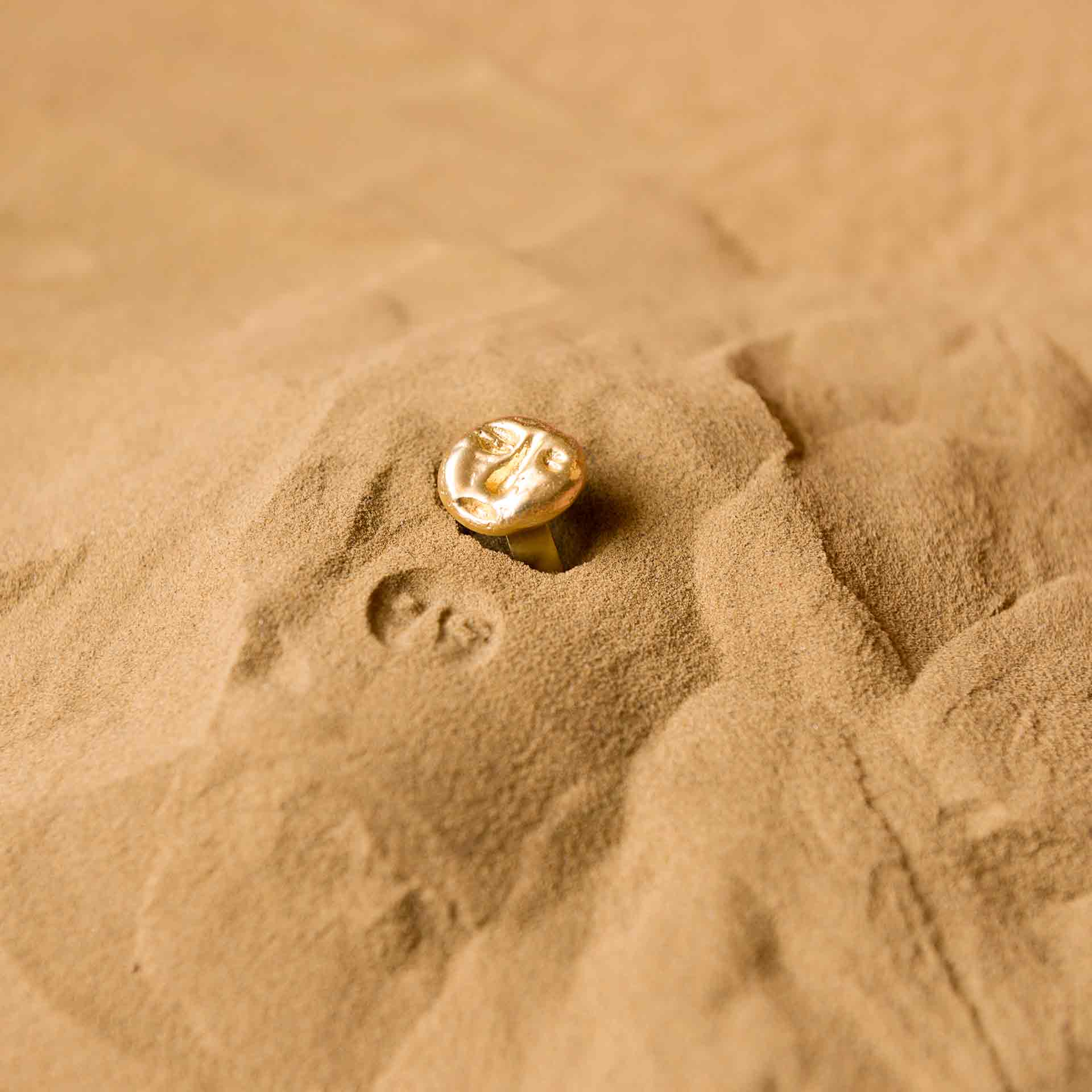 Fossil Ring - Small - Image 3