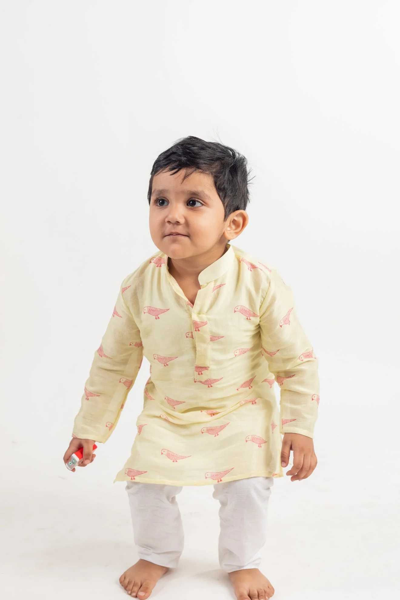 Full Sleeve Bird Print Kurta - Image 3