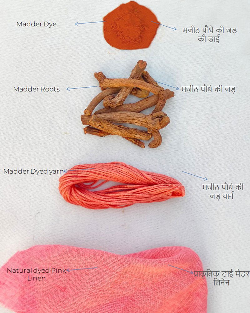 Linen Cami - Image 6