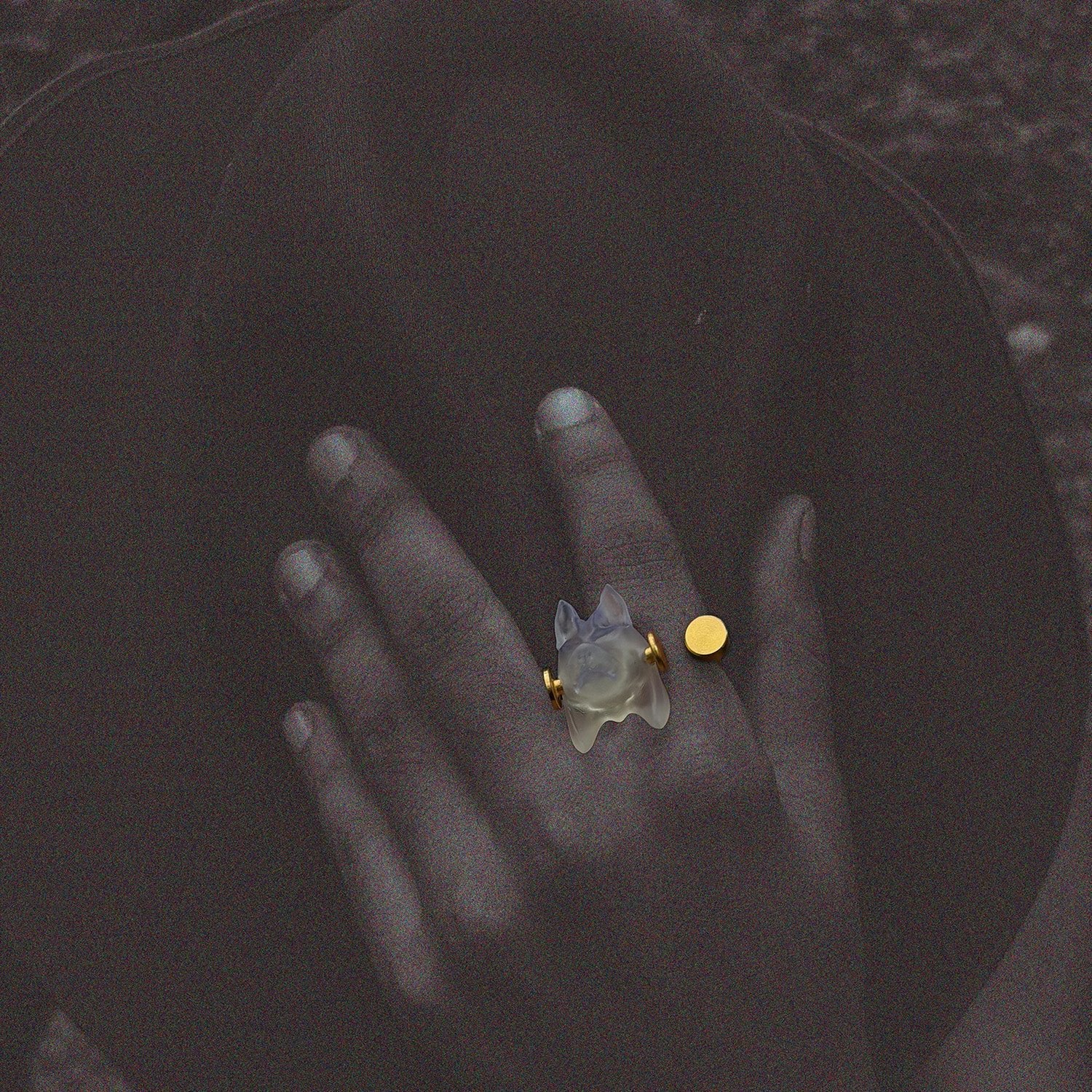Primalis Ring